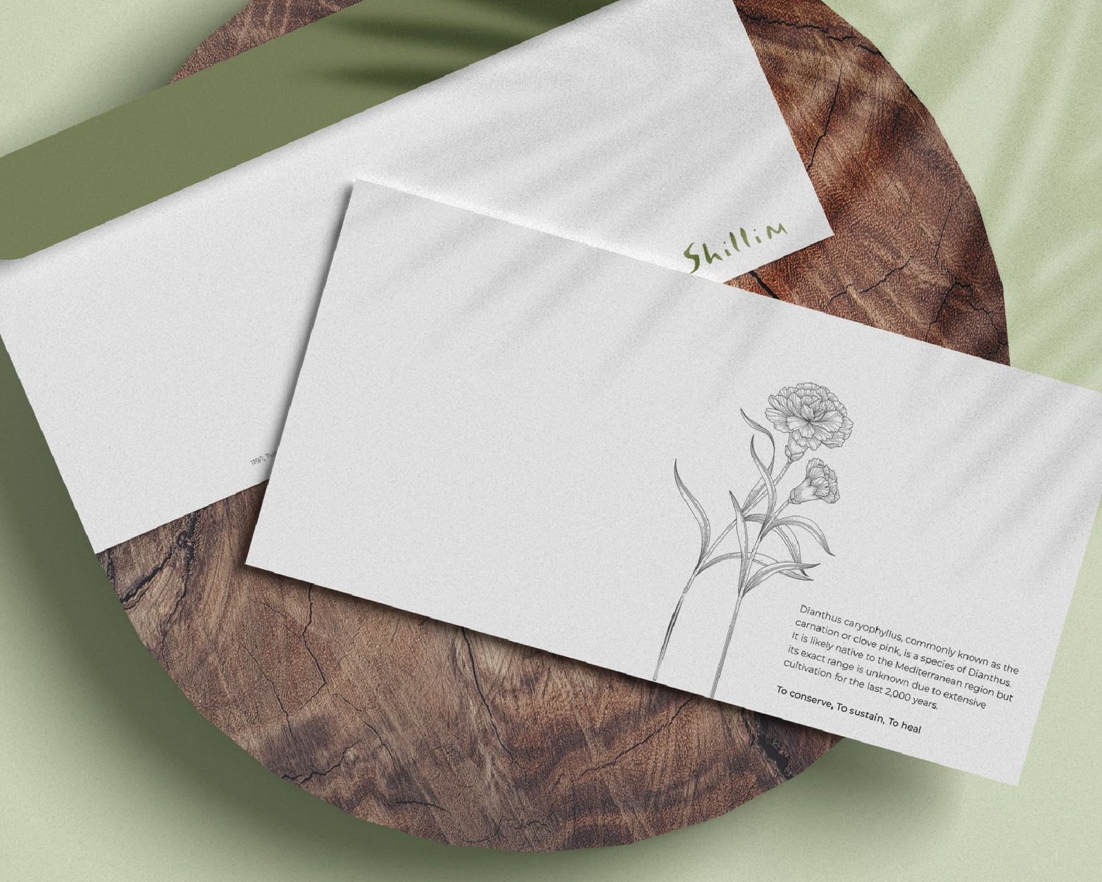 Digital branding asset – Paper Pixel design studio