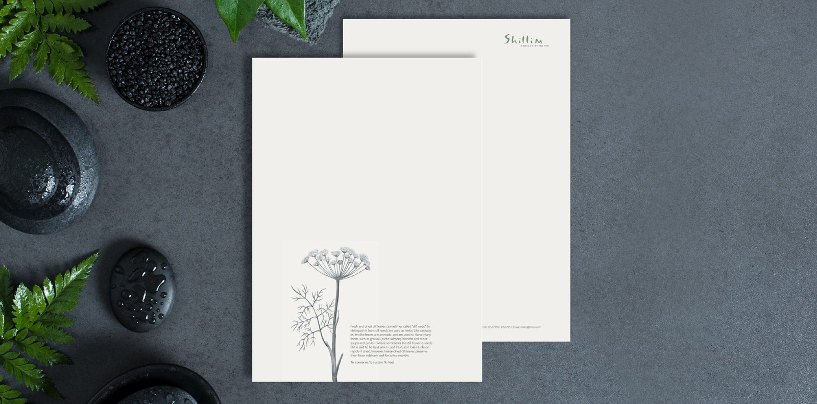 Packaging design – Paper Pixel branding expertise