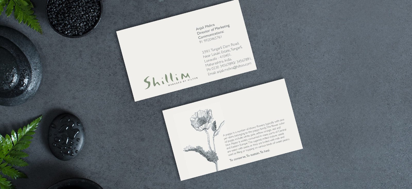 Brand identity asset – Paper Pixel digital branding