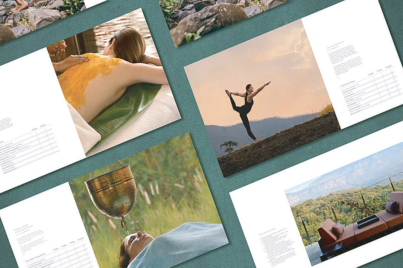 Shillim brochure design – Paper Pixel branding services